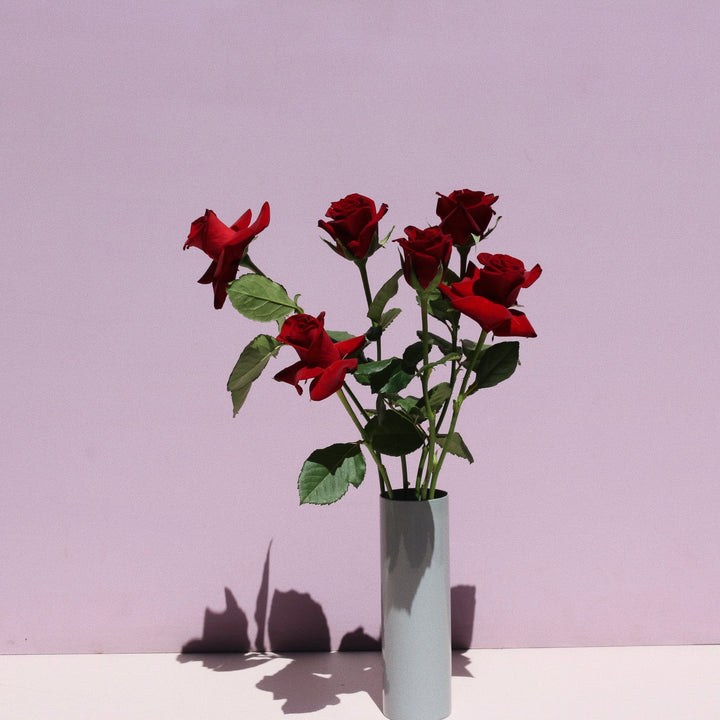 Roses in a Vase // Half Dozen
