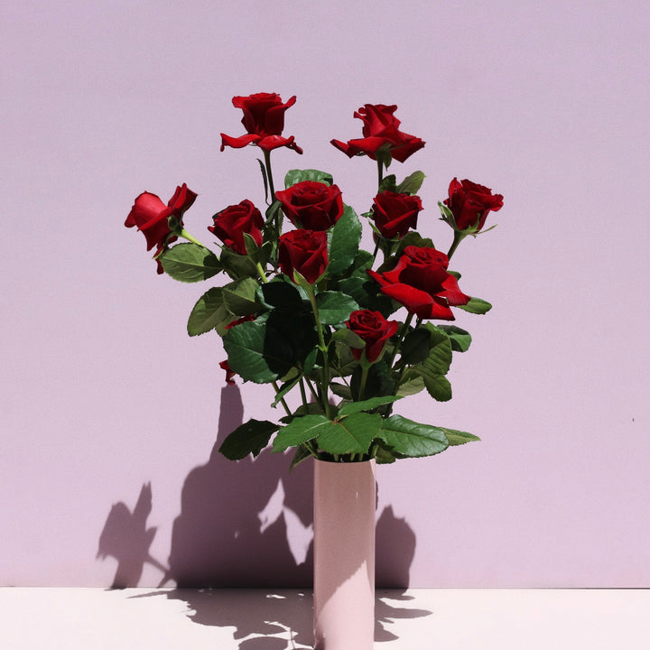 Roses in a Vase // Full Dozen