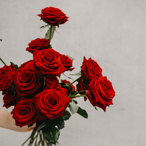 Roses