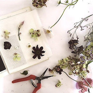Pressed flower collage workshop | April 28, 2021